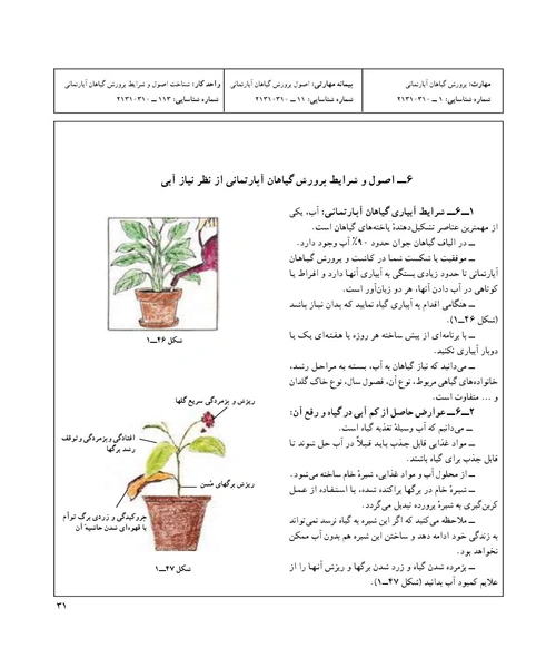 نگهداری و پرورش گلهای اپارتمانی - نمونه اول - جزیره کتاب های الکترونیکی
